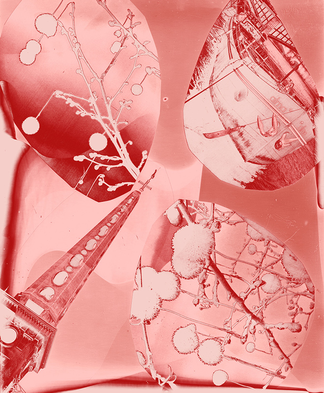 red, white and pink photogram depicting a boat, the eiffel tower and a flowers