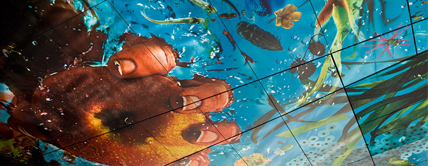 A beautiful ceiling mural depicting a hand holding an apple