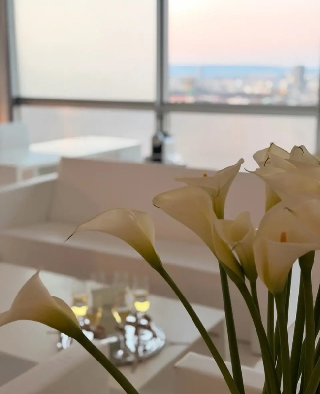 Wedding Suite SO/ Vienna