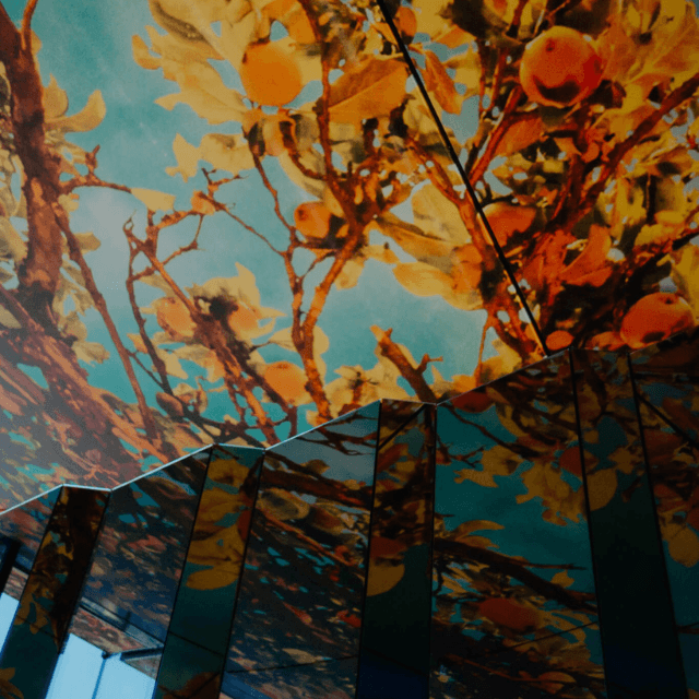 http://An%20abstract%20interior%20perspective%20of%20a%20modern%20ceiling%20with%20folded%20mirrored%20panels%20reflecting%20a%20colorful%20painting%20of%20citrus%20fruit%20branches%20and%20a%20blue%20sky.
