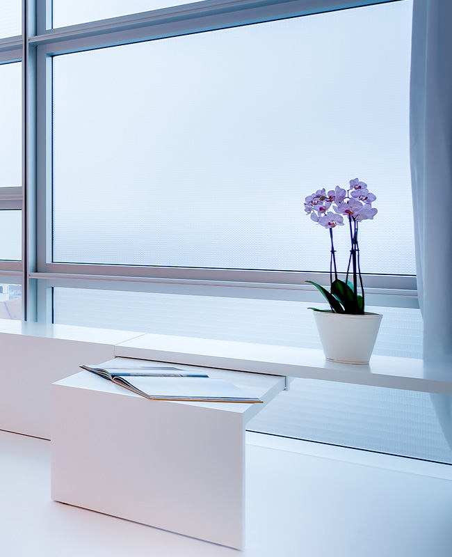 Purple flowers in a medium sized white flower pot on a long table beside a frosted glass window