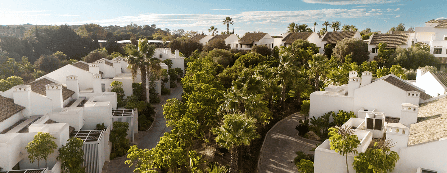 A scenic view of a residential area featuring several palm trees lining the streets.