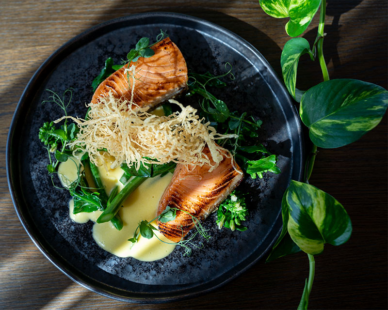 http://A%20tasty%20salmon%20dish%20on%20blue%20plate