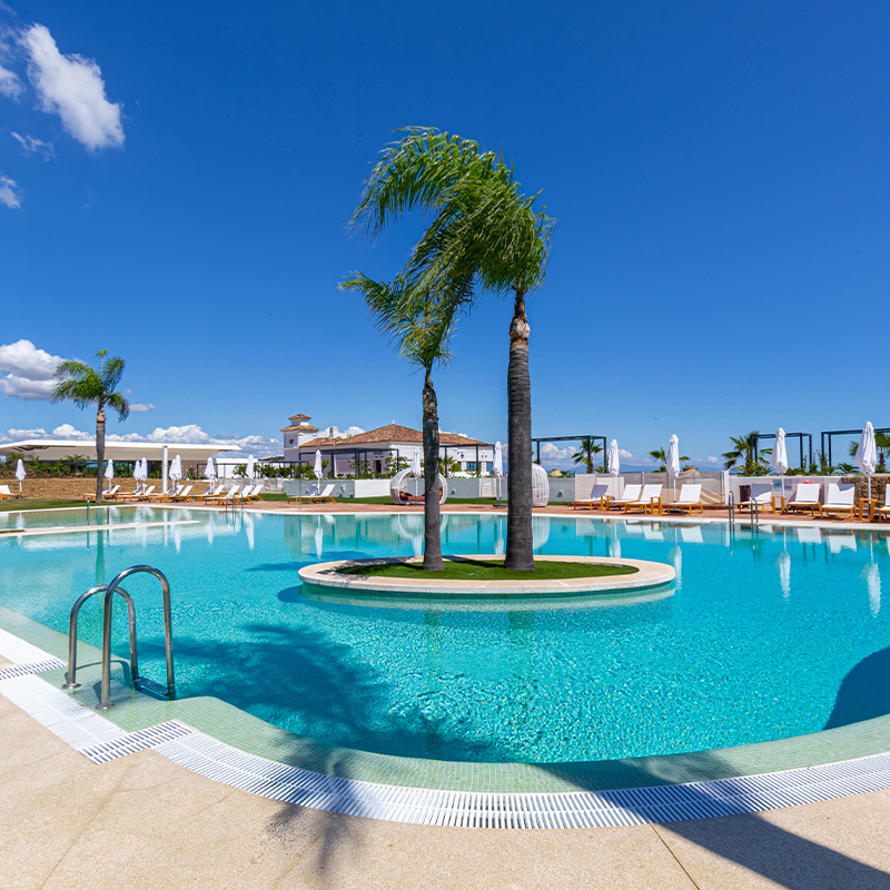 A large pool of clear blue water with two palm trees placed on a little green island in the middle