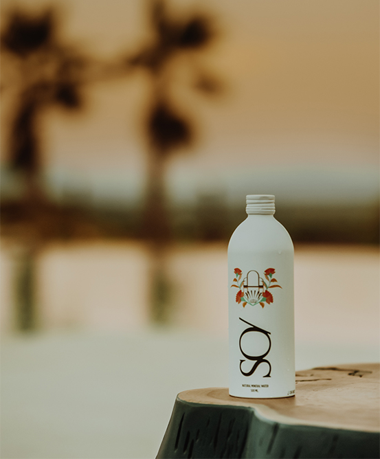 A SO/ brand water bottle on a tree stump with a blurry background