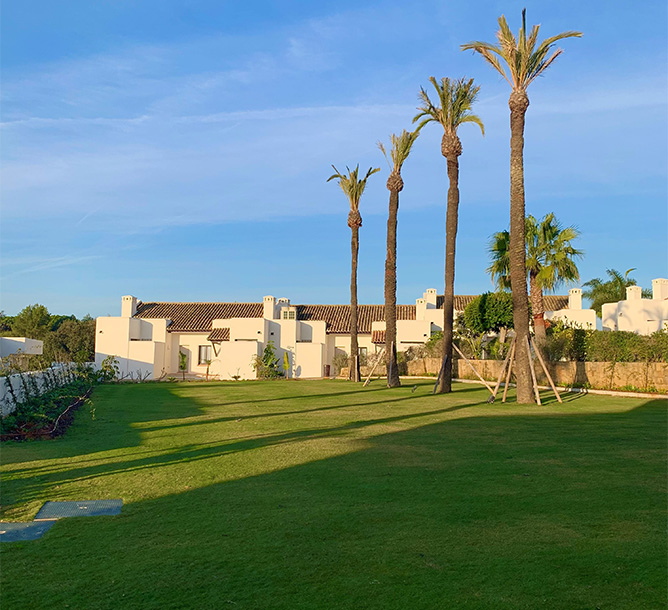 A large green space with large palm trees abd a small vegetable patch under a clear blue sky