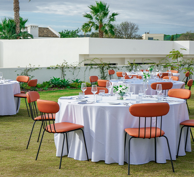 Banquete tables set up outside on fresh green grass