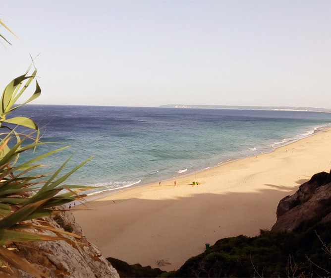 An elavated view of a beautiful sandy beach and clear blue water washing ashore