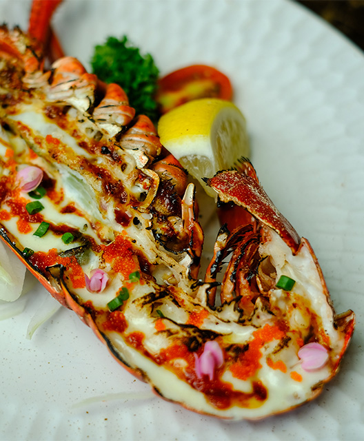 http://A%20delicious%20looking%20seafood%20dish%20rests%20on%20a%20white%20plate.