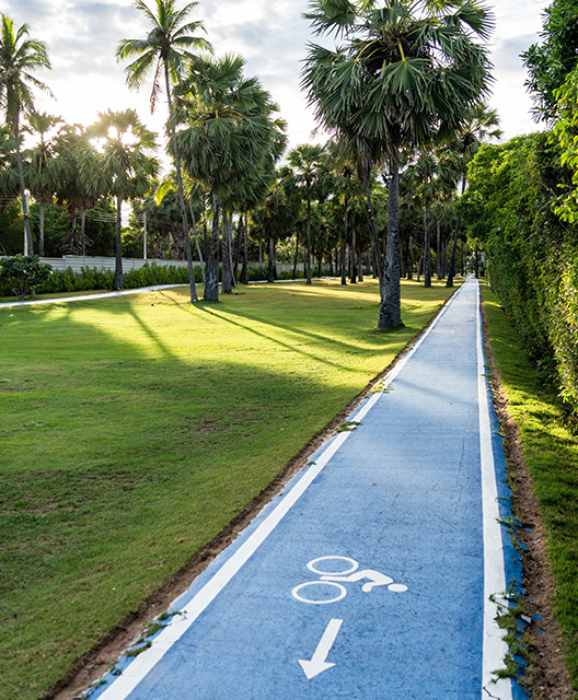 http://A%20serene,%20sunlit%20scene%20features%20a%20blue%20bike%20path%20with%20white%20bike%20symbols%20and%20arrows.%20Palm%20trees%20and%20lush%20grass%20line%20the%20path,%20evoking%20a%20tranquil,%20tropical%20vibe.