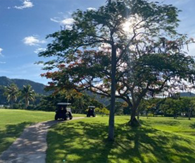 A sunlit golf course with two golf carts near a large tree. The sky is clear with a few clouds and mountains are visible in the background. Calm and serene.