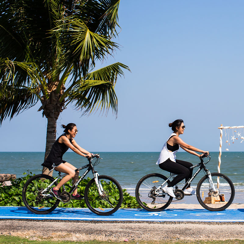 Two women ride bicycles along a blue pathway by the beach. A palm tree and ocean in the background create a serene, sunny atmosphere.