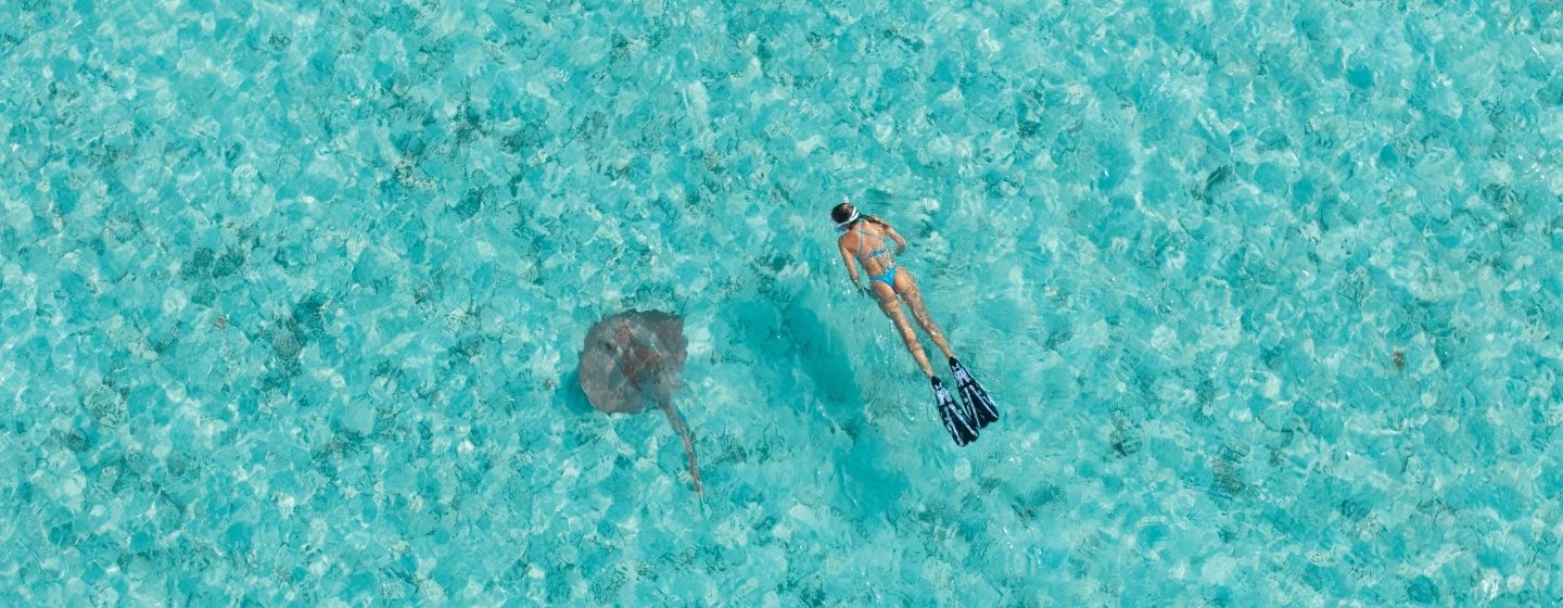 A woman swims alongside a shark in clear blue ocean waters, showcasing a unique interaction between humans and marine life.