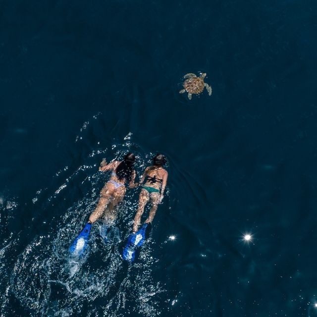 http://Two%20women%20in%20swimsuits%20swim%20alongside%20a%20sea%20turtle%20in%20clear%20blue%20water.