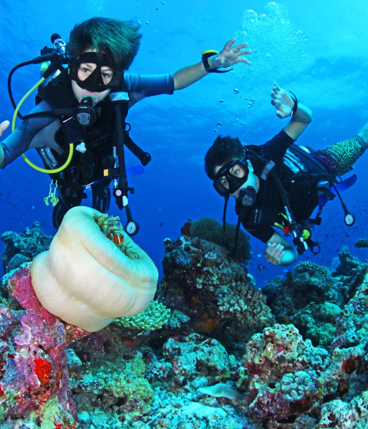 Two scuba divers explore a vibrant coral reef, observing a large, white sea anemone amidst colorful marine life and bubbling water.