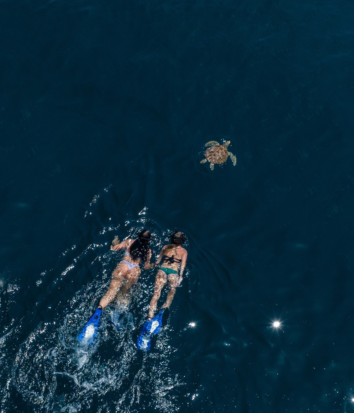 Two people snorkeing in the sea