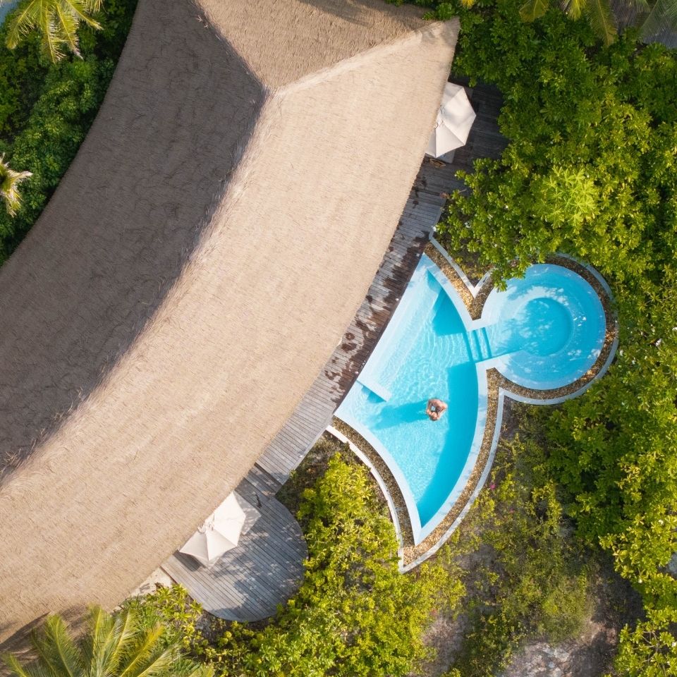 Aerial view of a luxurious pool, surrounded by greenery, with a person relaxing in the water beneath a thatched roof.