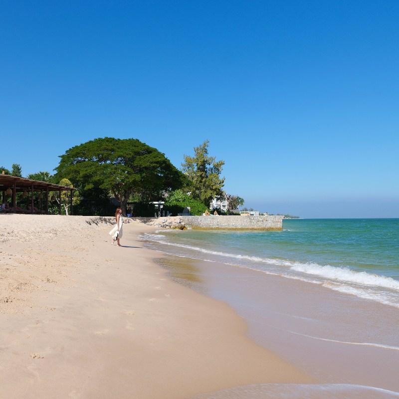 A serene beach scene with clear blue skies, golden sand, and gentle waves. A person in white stands near a large tree, conveying peace and relaxation.