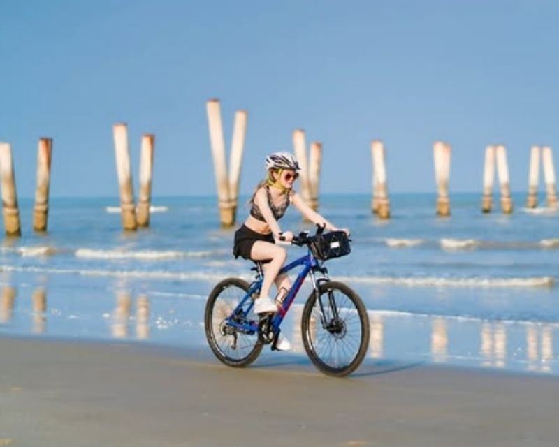 http://The%20women%20in%20athletic%20wear%20cycle%20along%20a%20beachside%20path%20on%20a%20sunny%20day.%20Palm%20trees%20and%20the%20ocean%20in%20the%20background%20evoke%20a%20relaxed,%20active%20vibe.
