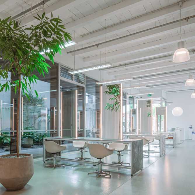 A spacious open office filled with numerous plants, creating a vibrant and refreshing work environment.